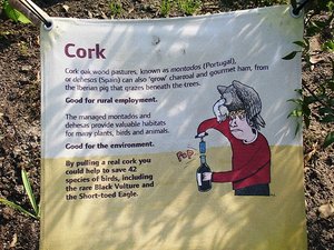 Cork