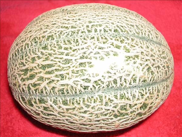 Melon Melon