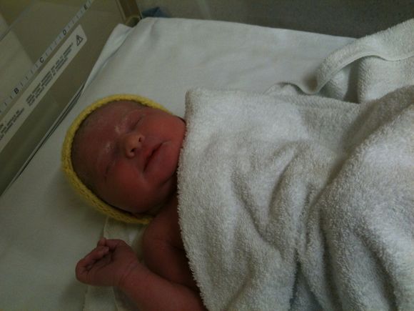 Evie Suzanne hovells