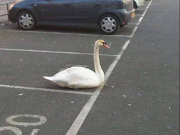 195982_10150105819301309_554291308_6546042_1842194_n